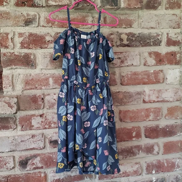 Carter's | Dresses | Its A Girls Carters 45 Blue Floral Dress | Poshmark